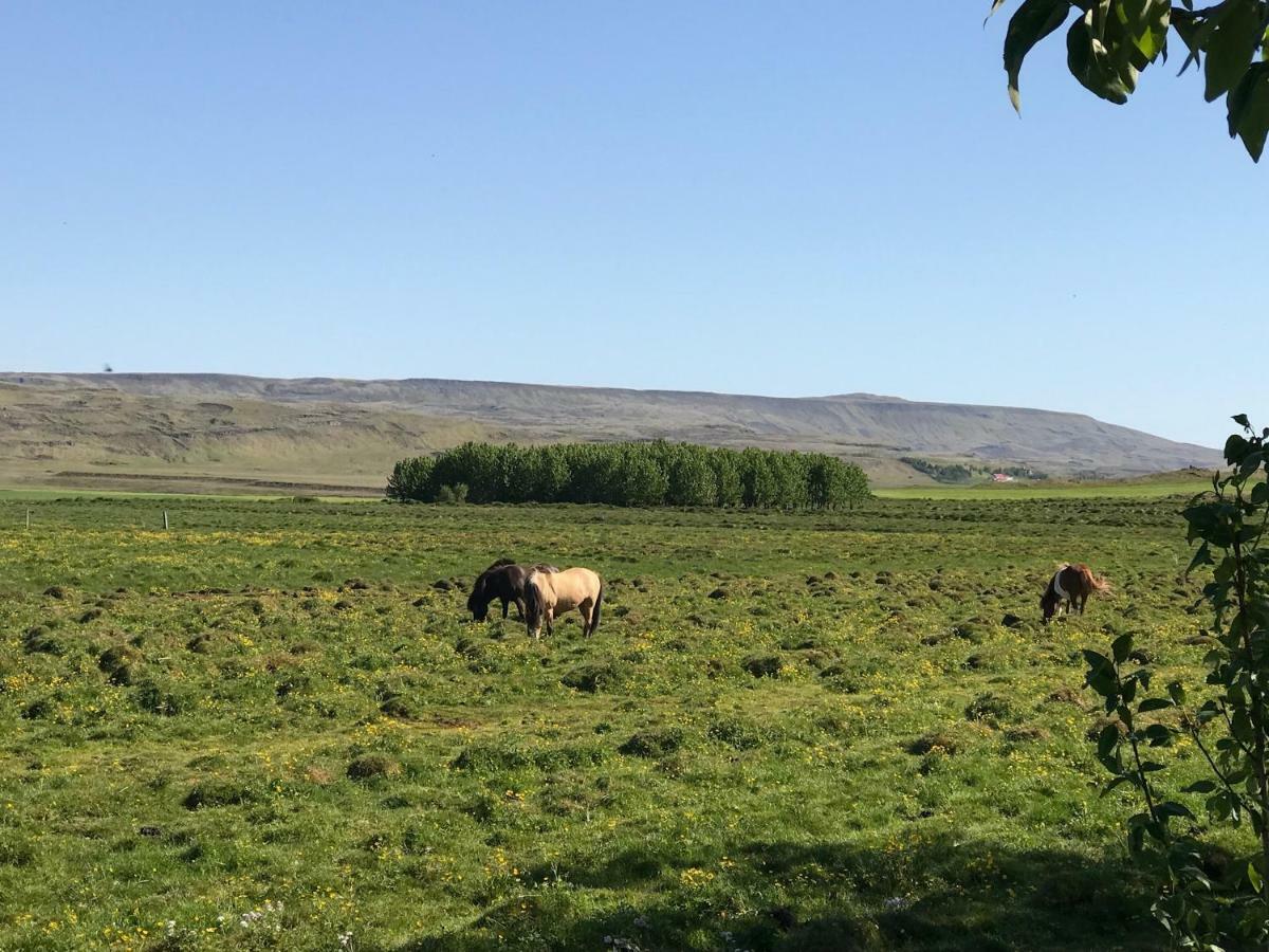 Dalabyggd Cottages - Romantic Stay By The Secret Lagoon Flúðir Exteriör bild